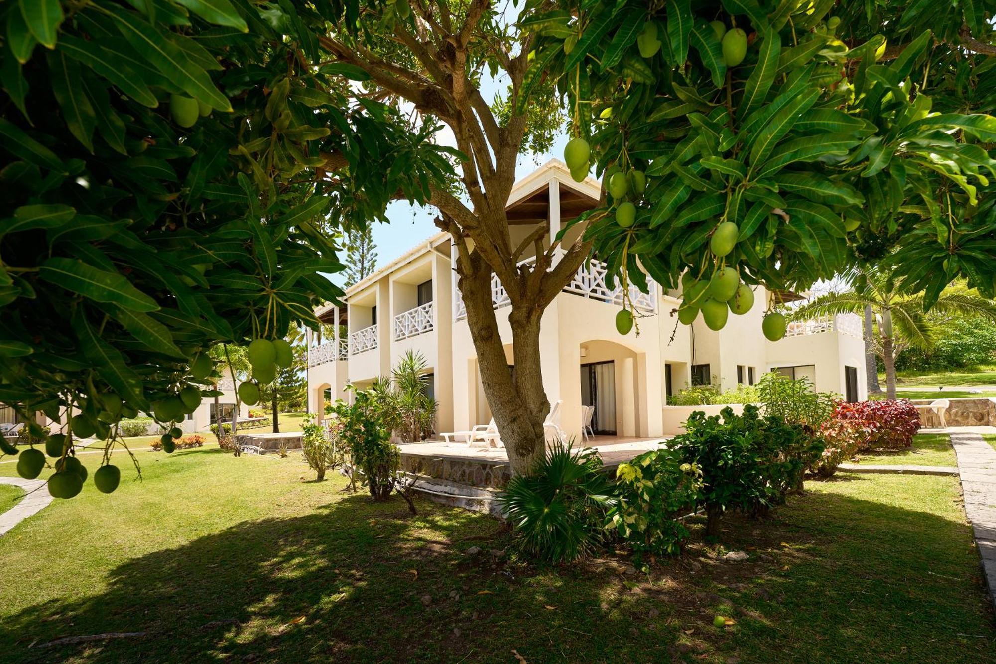 Mount Nevis Hotel Extérieur photo